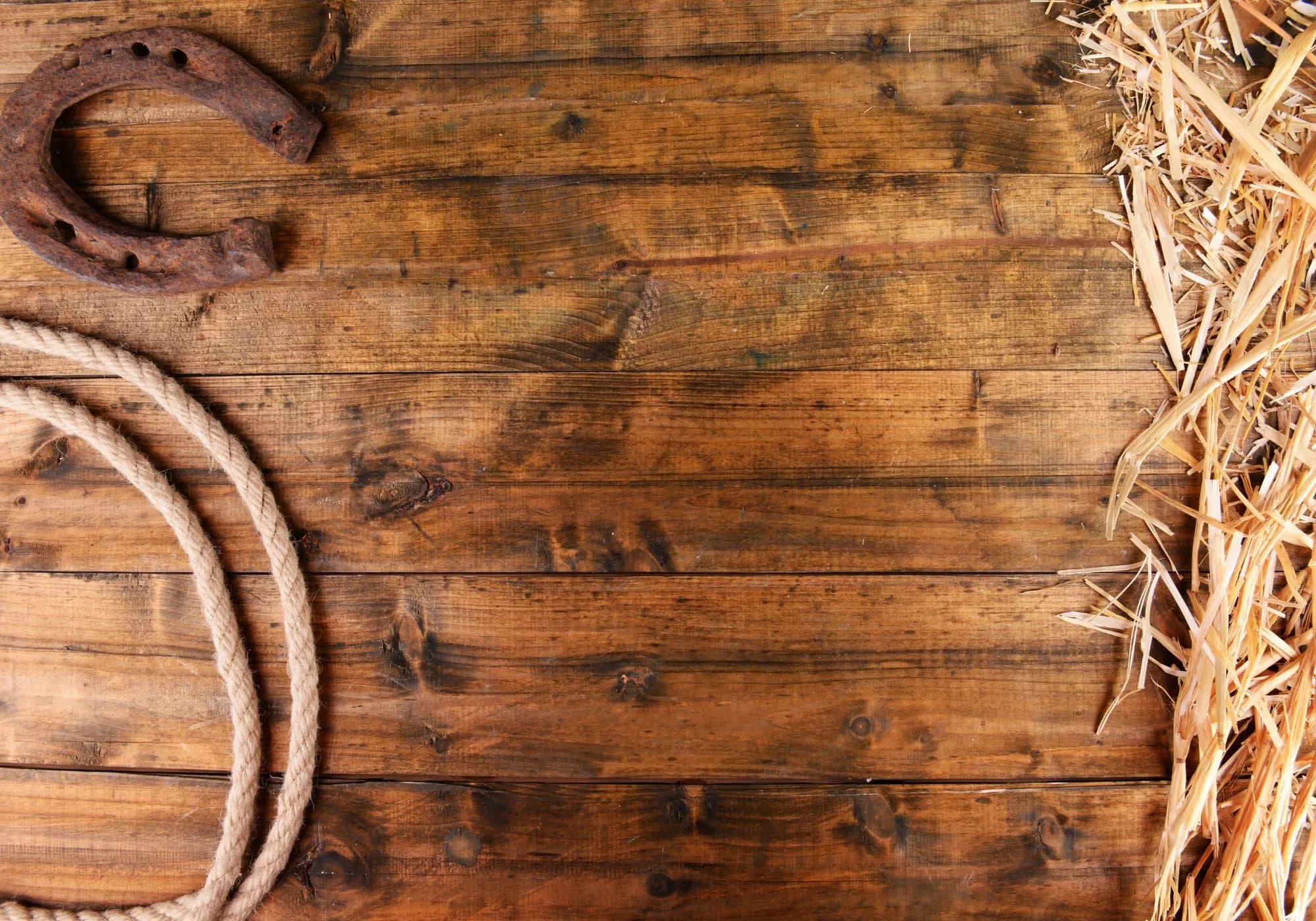 Horseshoe detail at the saloon